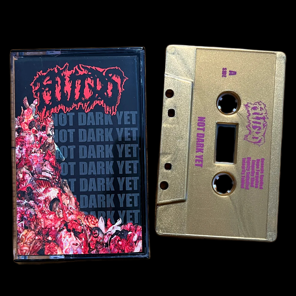 FLUIDS - Not Dark Yet - MC Tape