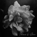 INSTRUMENTS OF TORTURE – Flowers And Stone - MC Tape