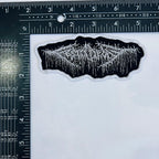 FESTERDECAY - Logo - Woven Patch