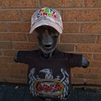 PaRtY CaNnOn - (Glow in the Dark) Logo - PINK CAMO DAD CAP