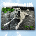 TEETHING - I Love Dog - Wall Flag / Textile Poster