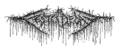 FesterDecay