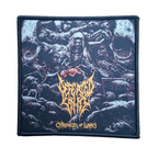 DEFEATED SANITY - Chronicles Of Lunacy - Woven Patch