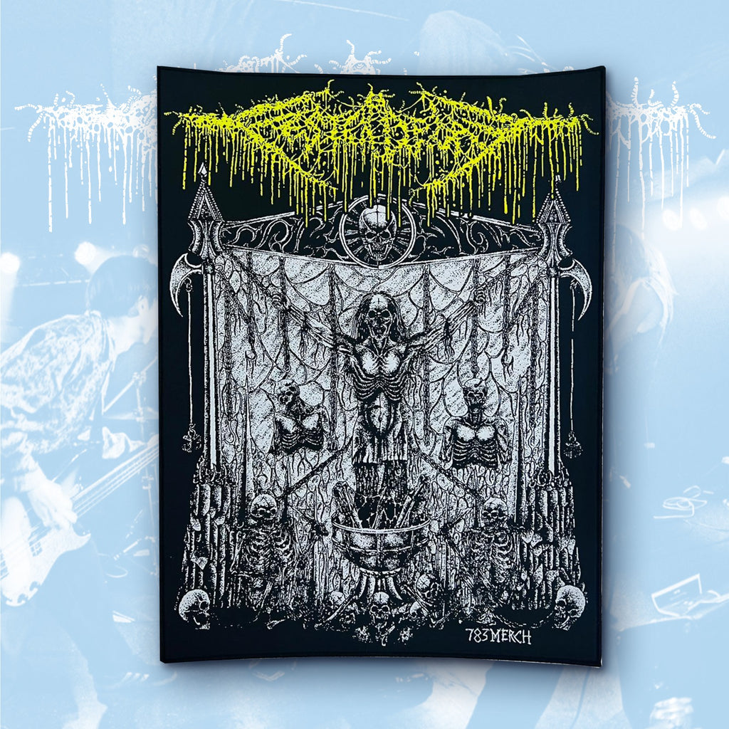 FESTERDECAY - Disintegration of Organs - Woven Backpatch