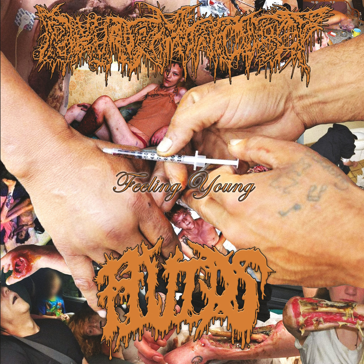 PHARMACIST / FLUIDS - Split CD