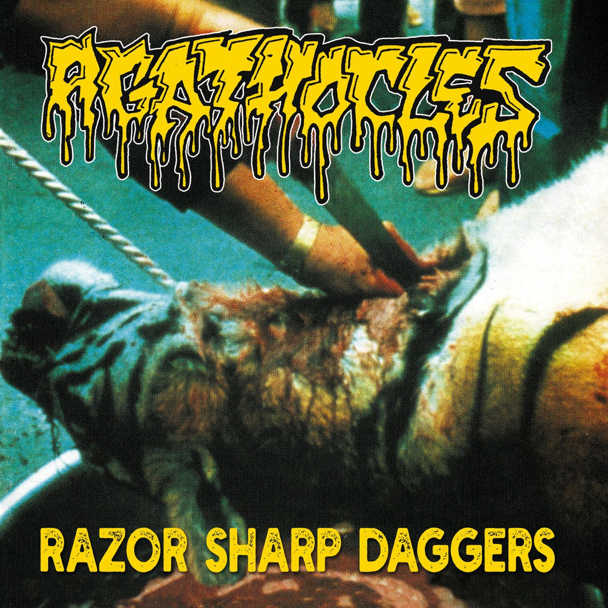 AGATHOCLES - Razor Sharp Daggers CD