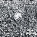 Excruciating Terror / Soil Of Ignorance Split LP