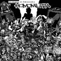 V/A - Nic Wiecej Do Powiedzenia - Tribute to Homomilitia LP