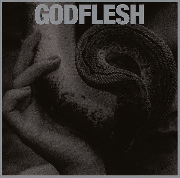 GODFLESH - Purge LP