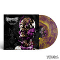 IMPURIST - Evolving Cortex (Ltd. Coloured) LP