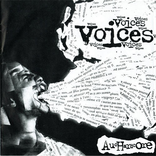 V/A - Voices: Auchardcore 2x7"EP