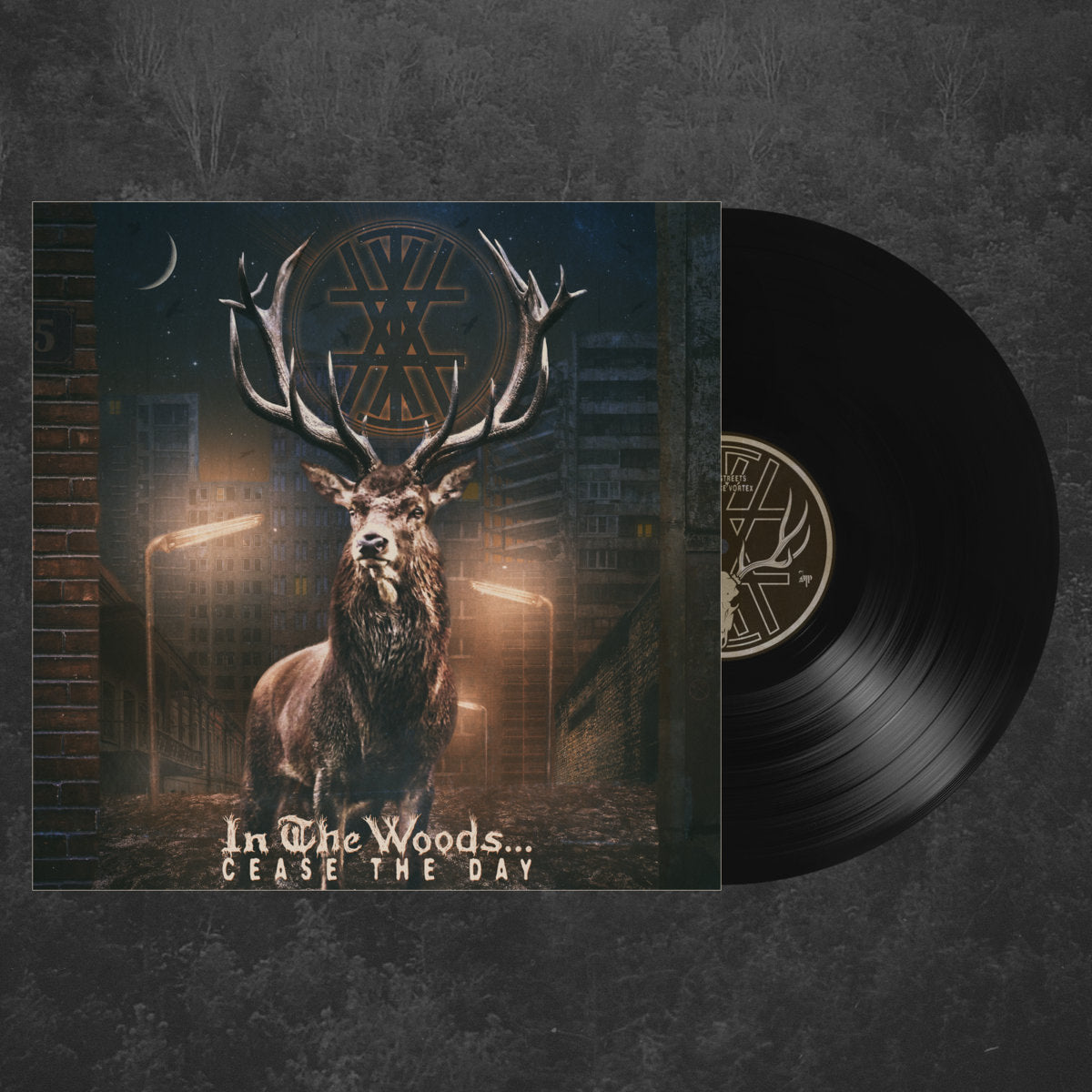 IN THE WOODS... - Cease The Day 2LP