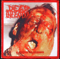 DEAD INFECTION - A Chapter Of Accidents - Patch