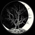 DARK MOTHER / SHRYKULL  -  Split 7"EP