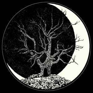 DARK MOTHER / SHRYKULL  -  Split 7"EP