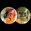 DEAD INFECTION - A Chapter Of Accidents Pic LP