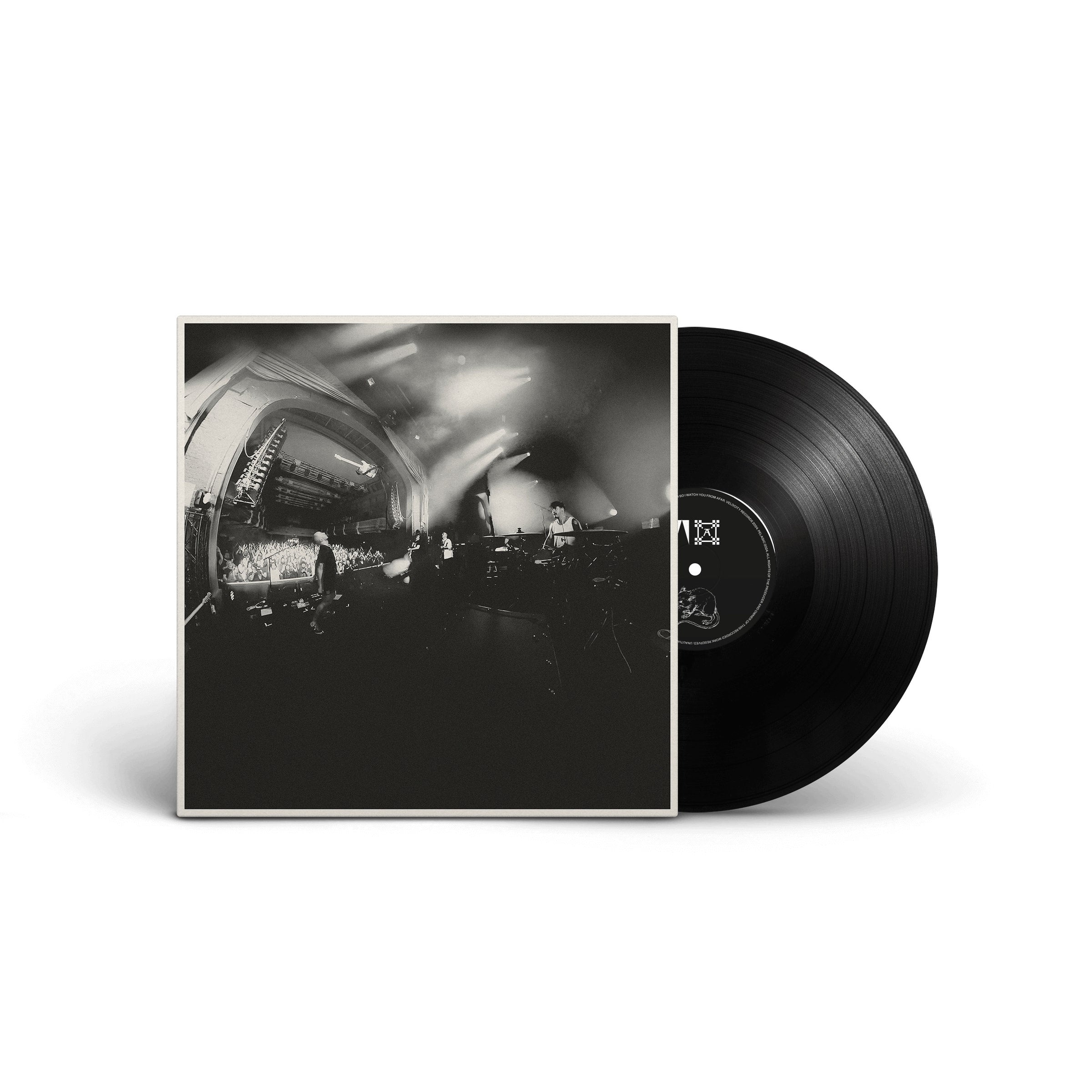 AND SO I WATCH YOU FROM AFAR - Megafauna LP