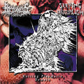 ROTTENNESS / SEEPING PROTOPLASM – Rotting Plasmatic Domain (Japan Import) Split CD