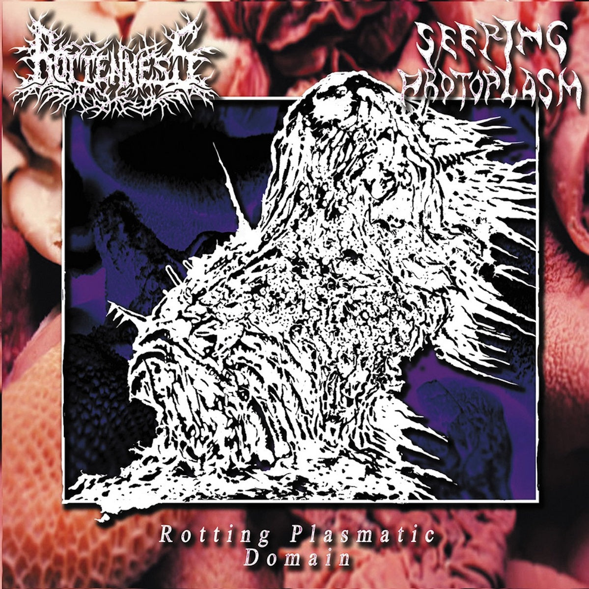 ROTTENNESS / SEEPING PROTOPLASM – Rotting Plasmatic Domain (Japan Import) Split CD