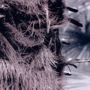 NIESTROY - Ashamed 7"EP