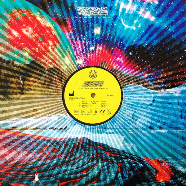 Psudoku / Parlamentarisk Sodomi ‎– Report From The 10th Dimension / Demo 2018 – Split LP