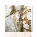 Psychofagist w/Napalmed "Songs Of Faint And Distortion" CD