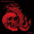 BLUE HUMMINGBIRD ON THE LEFT  – Atl Tlachinolli LP