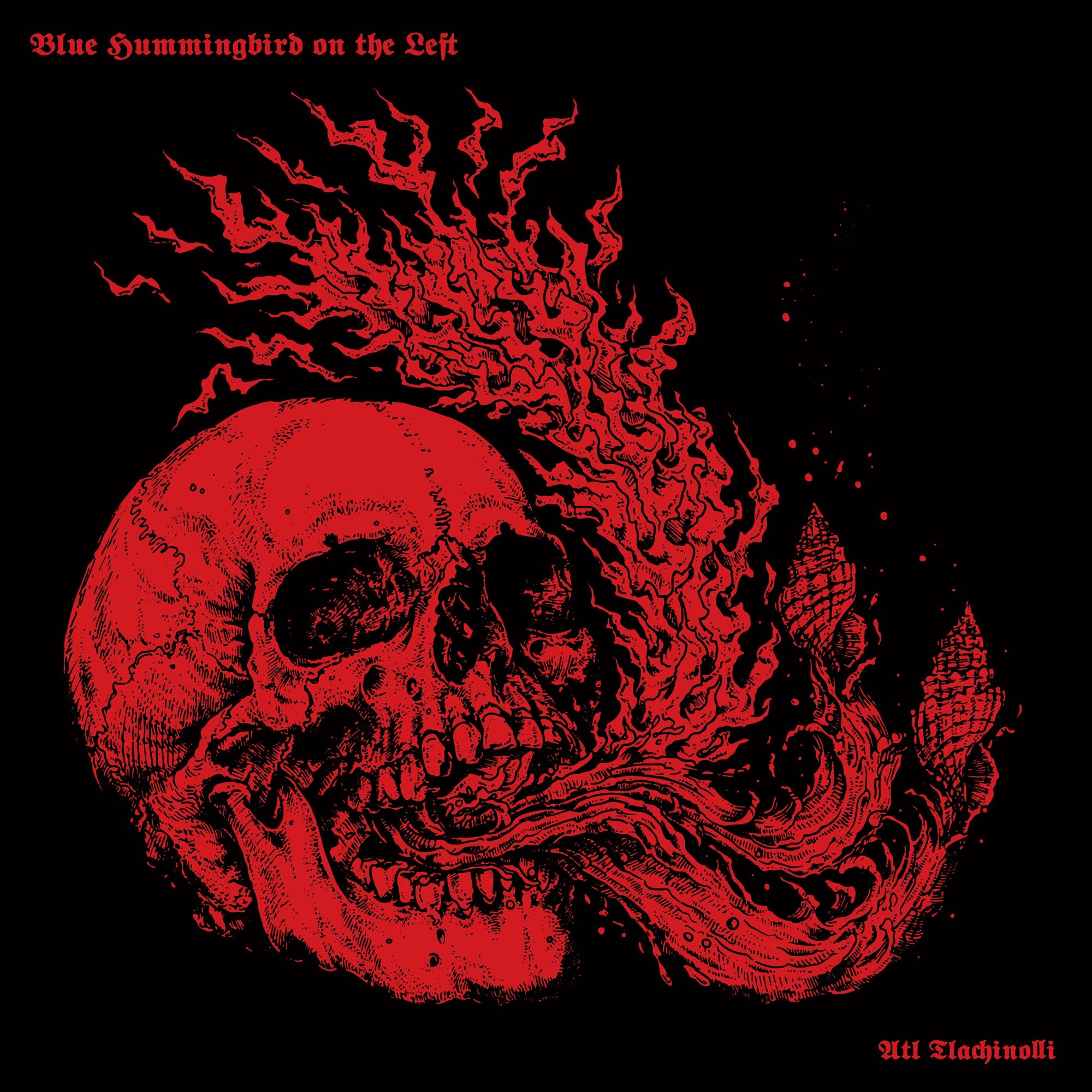 BLUE HUMMINGBIRD ON THE LEFT  – Atl Tlachinolli LP
