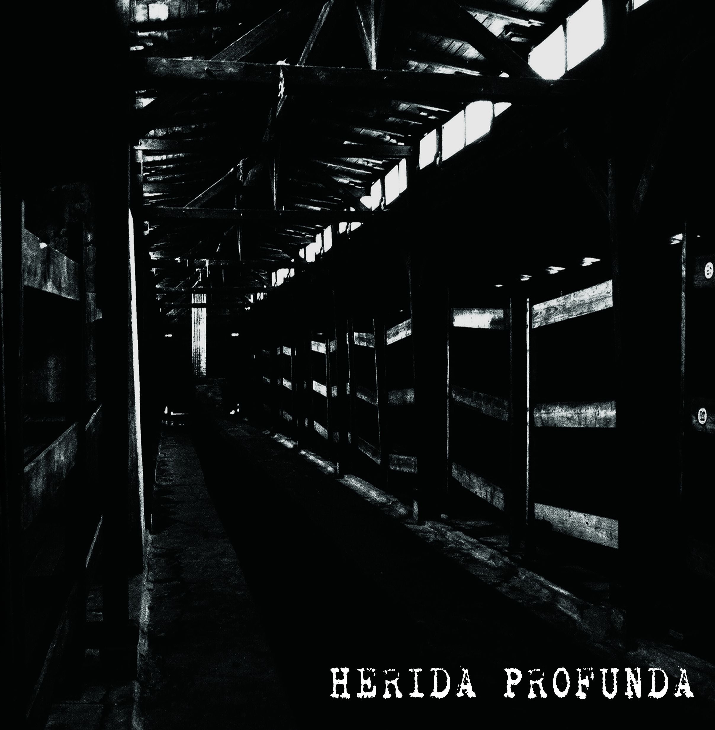 Herida Profunda - S/T LP