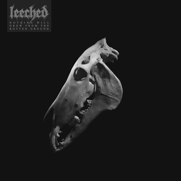 LEECHED - Nothing Will Grow From The Rotten Ground 12"